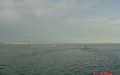 DSC00448