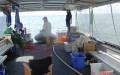 DSC00464