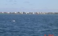 DSC00470