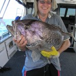 Catching fish with Jazz charters
